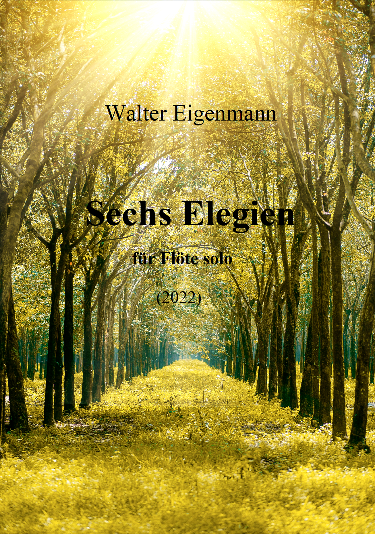 Anzeige - Sechs Elegien für Flöte - Walter Eigenmann - Glarean Magazin